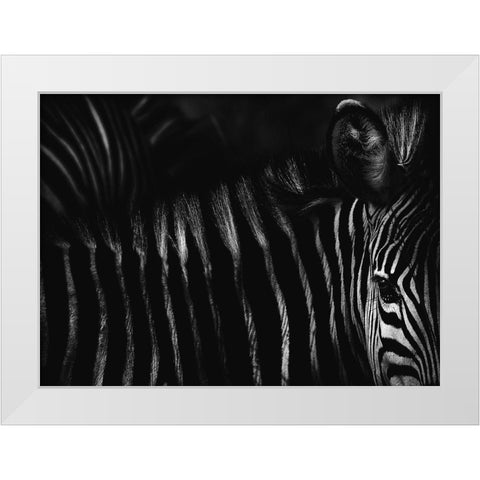 Untitled White Modern Wood Framed Art Print by Grambone, Antonio