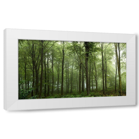 Forest White Modern Wood Framed Art Print by Londal, Leif