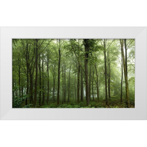Forest White Modern Wood Framed Art Print by Londal, Leif