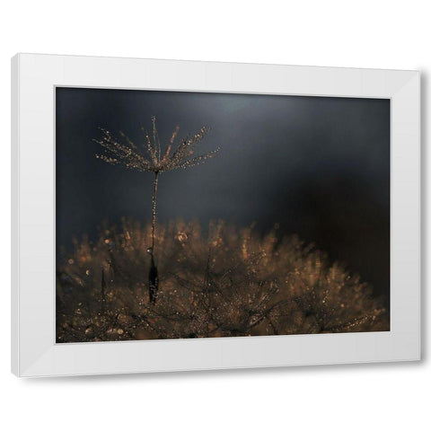 Standing toward the light White Modern Wood Framed Art Print by Dufour, Thierry