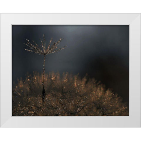 Standing toward the light White Modern Wood Framed Art Print by Dufour, Thierry