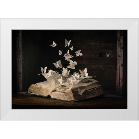 Lepidopterology White Modern Wood Framed Art Print by Bonadio, Heather