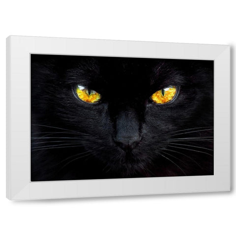 The hypnotist of the night White Modern Wood Framed Art Print by Valverde, Ferdinando