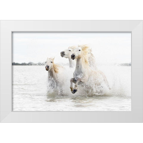 Horses  hight key White Modern Wood Framed Art Print by De Simone, Ciro
