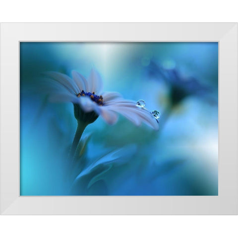 Beyond the Visible... White Modern Wood Framed Art Print by Nan, Juliana