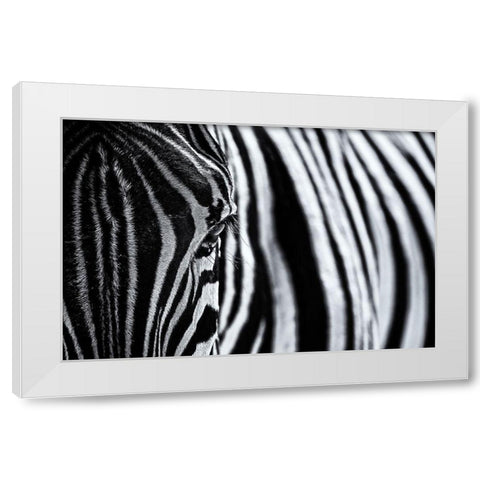 The look of nature White Modern Wood Framed Art Print by Tagliarino, Marco