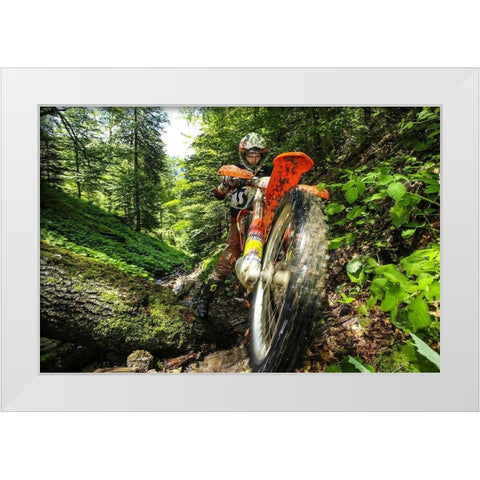 Carpath Enduro White Modern Wood Framed Art Print by Szabo, Attila