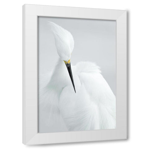 White beauty White Modern Wood Framed Art Print by Kralik, Rostislav