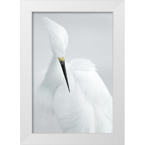 White beauty White Modern Wood Framed Art Print by Kralik, Rostislav
