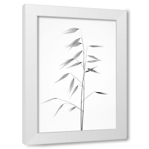 Sharpness of the nature White Modern Wood Framed Art Print by Lagandre, Thierry
