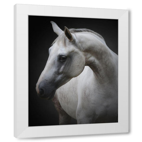 Maggie White Modern Wood Framed Art Print by Avivi, Avishai