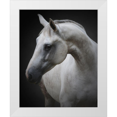 Maggie White Modern Wood Framed Art Print by Avivi, Avishai