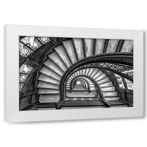 The Rookery White Modern Wood Framed Art Print by Sun, Yimei