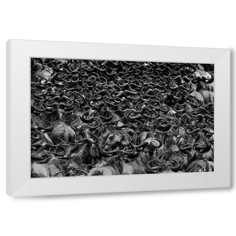 Wildebeest in Crossing White Modern Wood Framed Art Print by Zuo, Jun