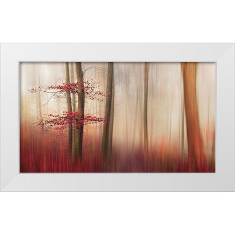 Red Leaves. White Modern Wood Framed Art Print by Londal, Leif