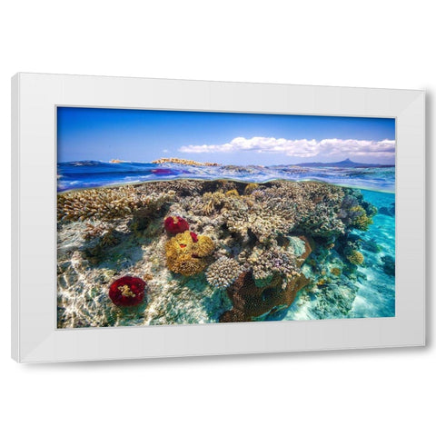 Mayotte : The Reef White Modern Wood Framed Art Print by Gabriel, Barathieu