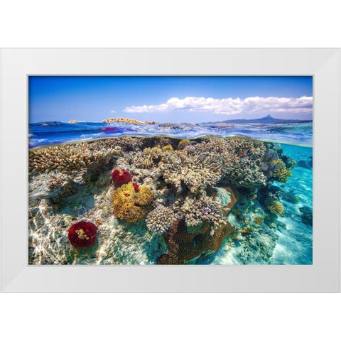 Mayotte : The Reef White Modern Wood Framed Art Print by Gabriel, Barathieu