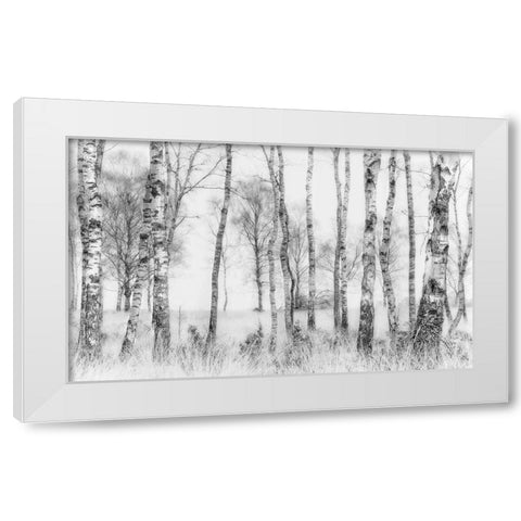 Black and white White Modern Wood Framed Art Print by Talen, Nel