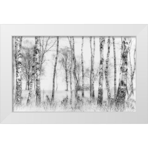Black and white White Modern Wood Framed Art Print by Talen, Nel