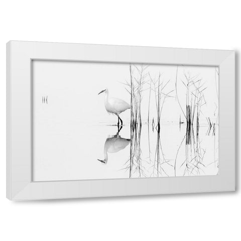 white White Modern Wood Framed Art Print by Planinski, Zhecho