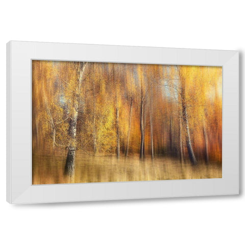 Autumn Birches White Modern Wood Framed Art Print by Davidsson, Gustav