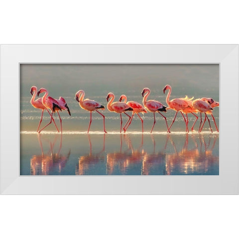 Flamingo White Modern Wood Framed Art Print by Chang, Phillip