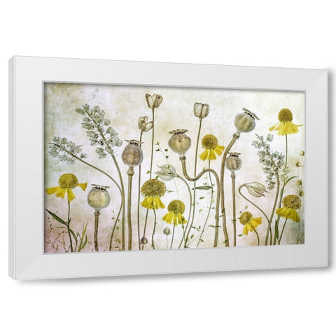 Poppies and Helenium White Modern Wood Framed Art Print by Disher, Mandy