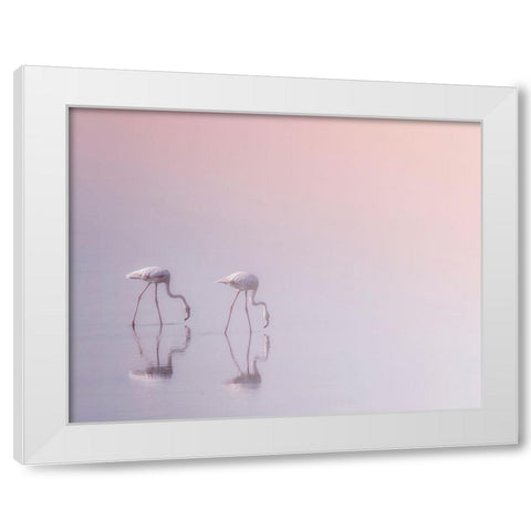 Serenity 3 White Modern Wood Framed Art Print by Thabet, Ahmed