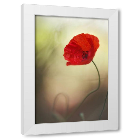 Untitled White Modern Wood Framed Art Print by Or, Keren