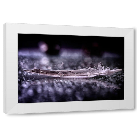 Feather and Drop II White Modern Wood Framed Art Print by Fabiano, Alessandro
