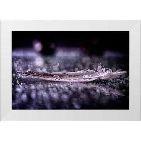 Feather and Drop II White Modern Wood Framed Art Print by Fabiano, Alessandro
