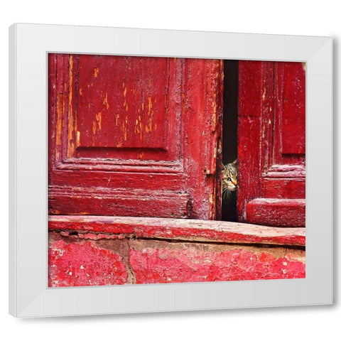 Behind the scene White Modern Wood Framed Art Print by Elena, Raceala