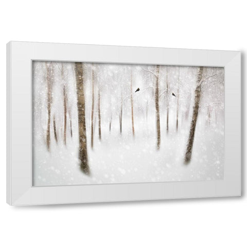Winter Birches White Modern Wood Framed Art Print by Davidsson, Gustav