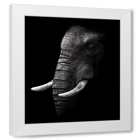 Portrait White Modern Wood Framed Art Print by Wildphotoart