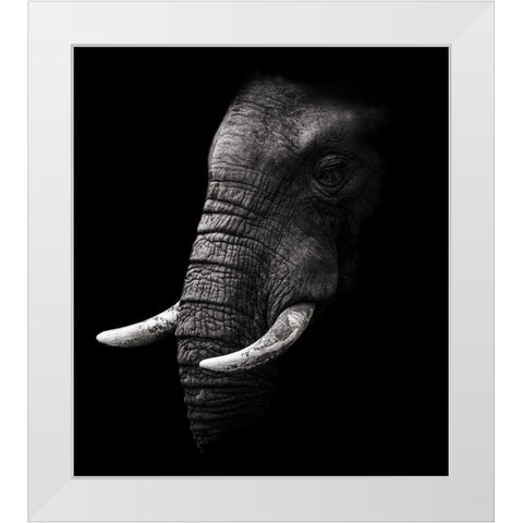 Portrait White Modern Wood Framed Art Print by Wildphotoart