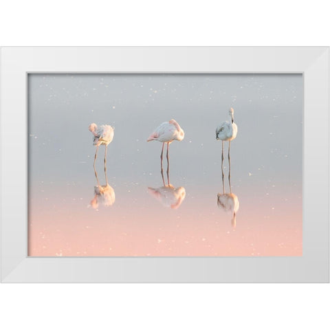Three flamingos ... White Modern Wood Framed Art Print by Rublina, Natalia