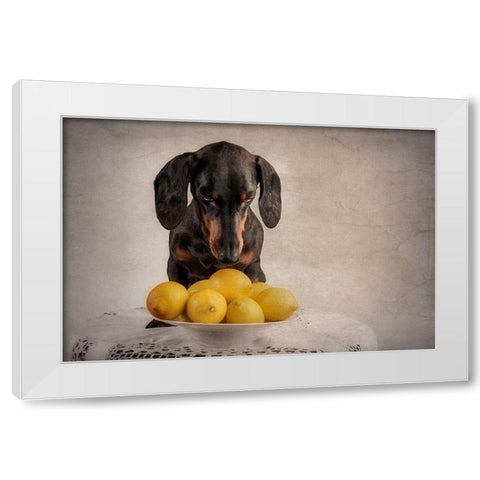 When Life Gives You Lemons... White Modern Wood Framed Art Print by Willers, Heike