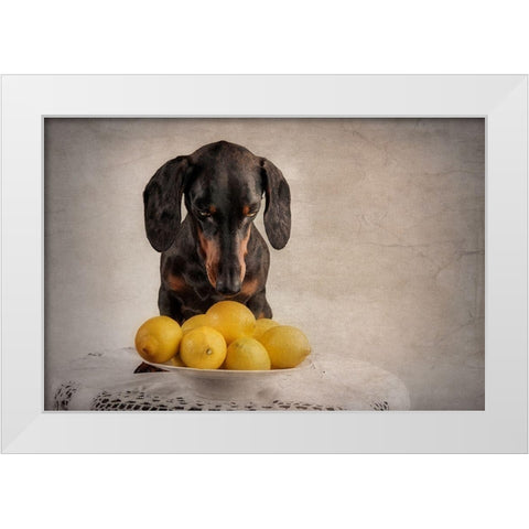 When Life Gives You Lemons... White Modern Wood Framed Art Print by Willers, Heike