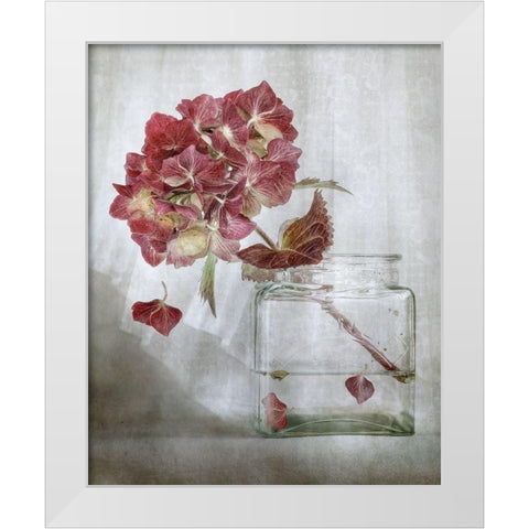 Hydrangea White Modern Wood Framed Art Print by Disher, Mandy