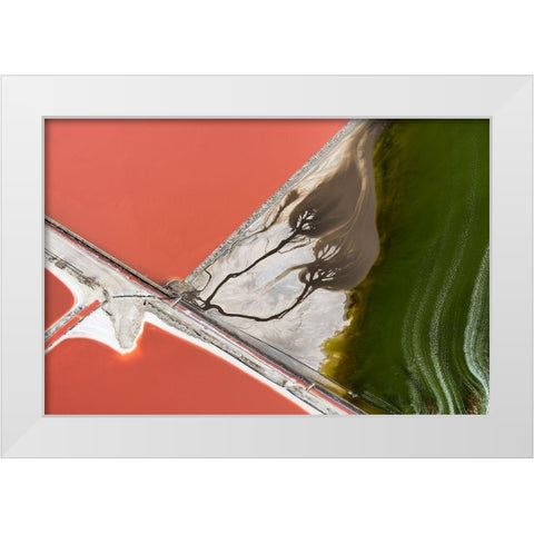 Natures painting White Modern Wood Framed Art Print by Macua, Gerald