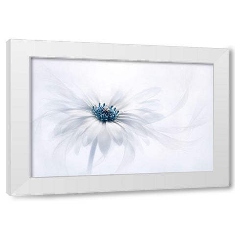 Serenity White Modern Wood Framed Art Print by Parker, Jacky