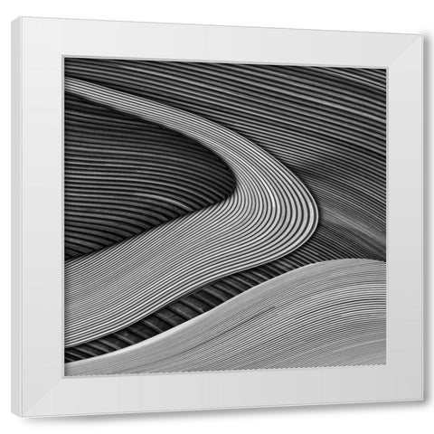 The wood project III - Zen garden White Modern Wood Framed Art Print by Vangindertael (Lagrange), Luc