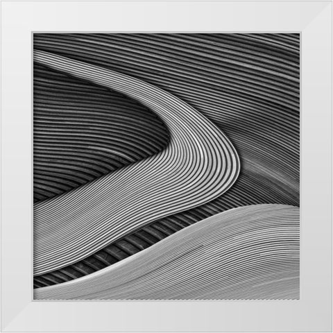 The wood project III - Zen garden White Modern Wood Framed Art Print by Vangindertael (Lagrange), Luc