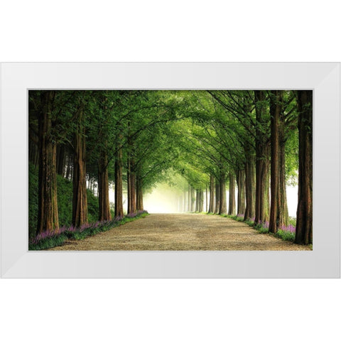 Metasequoia Road White Modern Wood Framed Art Print by Seo, Tiger