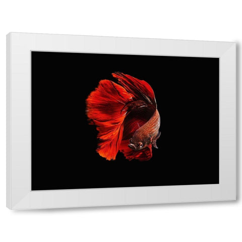 The Red White Modern Wood Framed Art Print by Halil, Andi