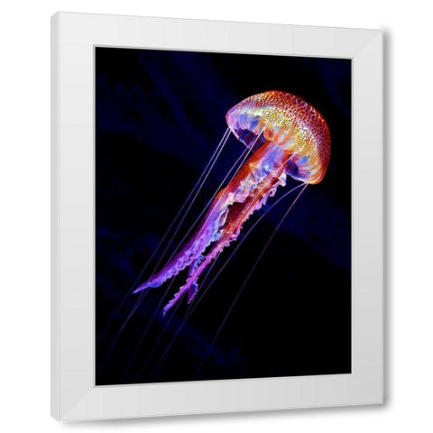 Jellyen White Modern Wood Framed Art Print by Jager, Henry