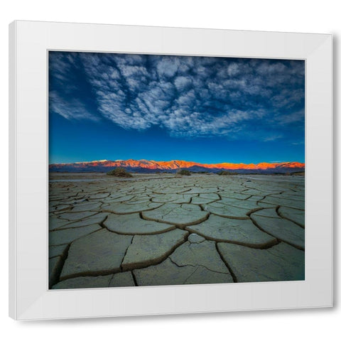 Dry Season White Modern Wood Framed Art Print by Fan, John