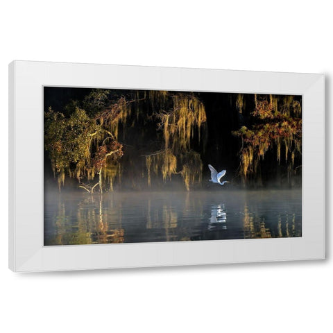Egret White Modern Wood Framed Art Print by Zhu, Hua