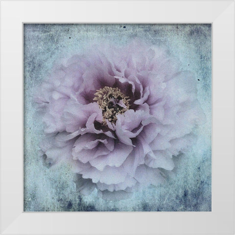 The season I love White Modern Wood Framed Art Print by Eisele, Stefan