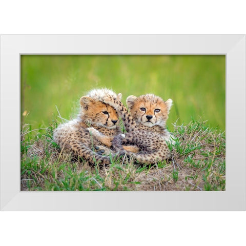 Promising White Modern Wood Framed Art Print by Roshkumar